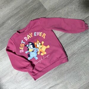 Bluey Toddler Crewneck Sweater